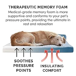 Furhaven Memory Foam Dog Bed for Large Dogs