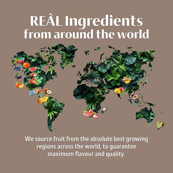 GINGER REÀL, GINGER INFUSED SYRUP, 16.9 FL OZ SQUEEZABLE BOTTLE (PACK OF 1)
