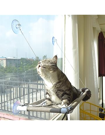 Cat Window Perches Amazon Com