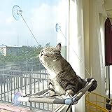 oster cat window bed