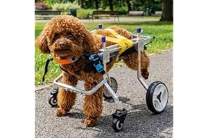 LetPetRun Four-Wheeled Adjustable Dog Wheelchair, Lightweight Mobility Bicycle Trailer for Disabled Pets, Easy to Assemble, Supports Walking and Exercise
