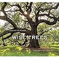 Wise Trees