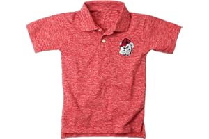 Wes and Willy Youth Boys/Girls College Sports Fan Short Sleeve Polo Cloudy Yarn