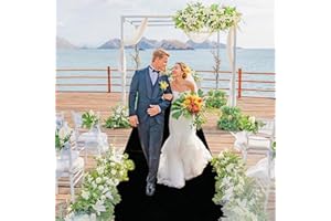 FANPROMS Black Aisle Runner 30FTx4FT Aisle Runner Rug Velvet Aisle Runners for Wedding Ceremony Halloween Wedding Aisle Floor Runner for Bridal Shower Black Aisle Carpet Runner for Prom Walkway