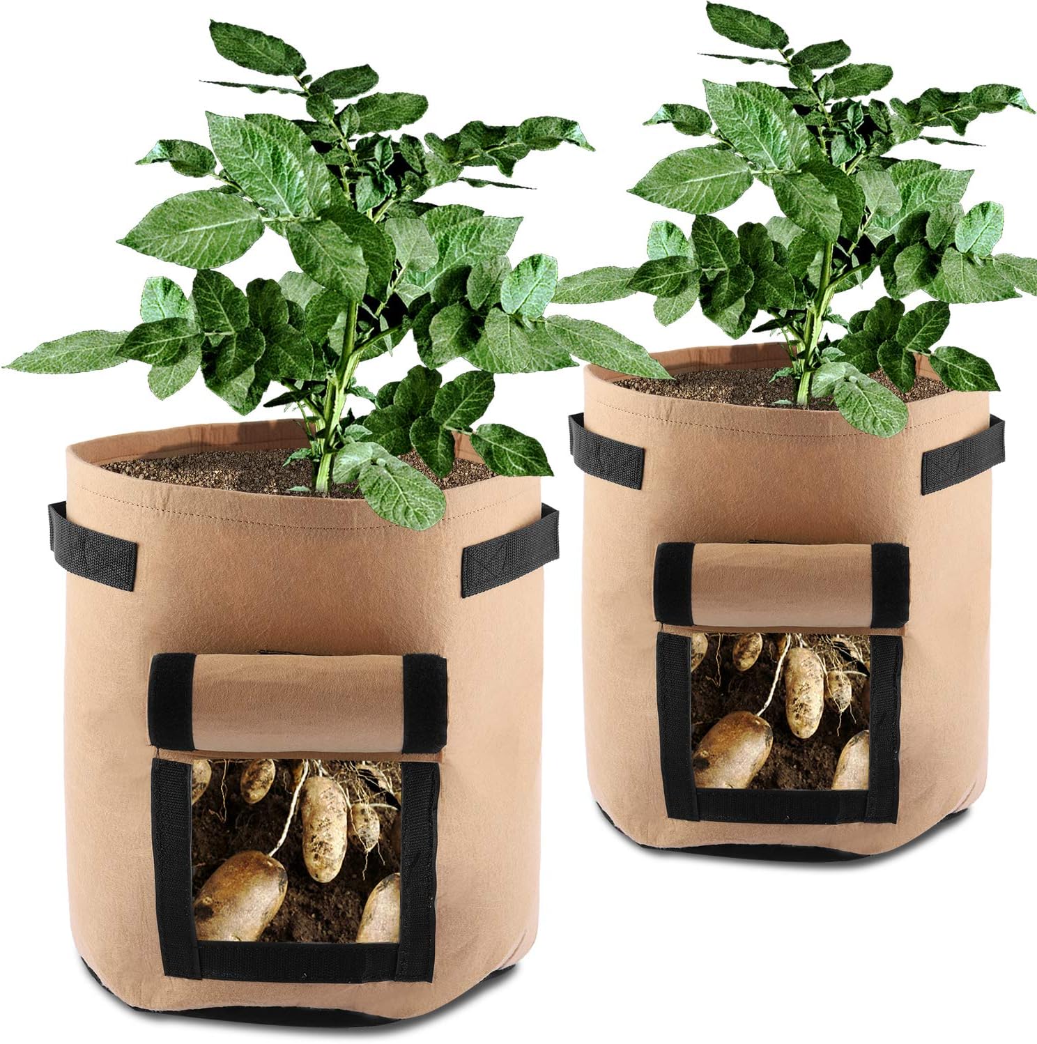 SHANNA, Bolsas de Cultivo para Patatas, Zanahorias, Tomates ...