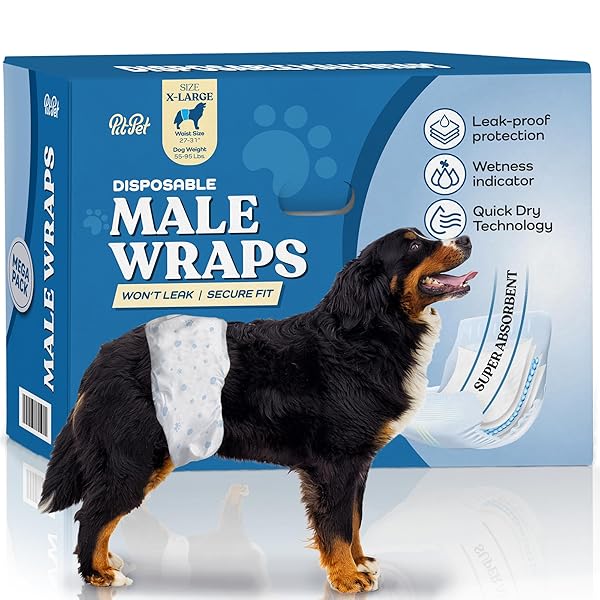 COMFORTABLE MALE DOG DIAPERS – 50-PACK SUPER ABSORBENT DISPOSABLE MALE DOG WRAPS- FLASHDRY GEL TECHNOLOGY, WETNESS INDICATOR DOGGIE DIAPERS- LEAKPROOF BELLY WRAPS FOR INCONTINENCE, EXCITABLE URINATION
