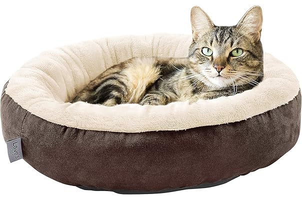 cute cat beds amazon