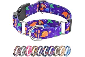 Hikiko Martingale Collar for Dogs Cute Dinosaur Dog Collar for Small Medium Large Dogs Comfortable Nylon Funny Dog Collars (Dinosaur,Large)