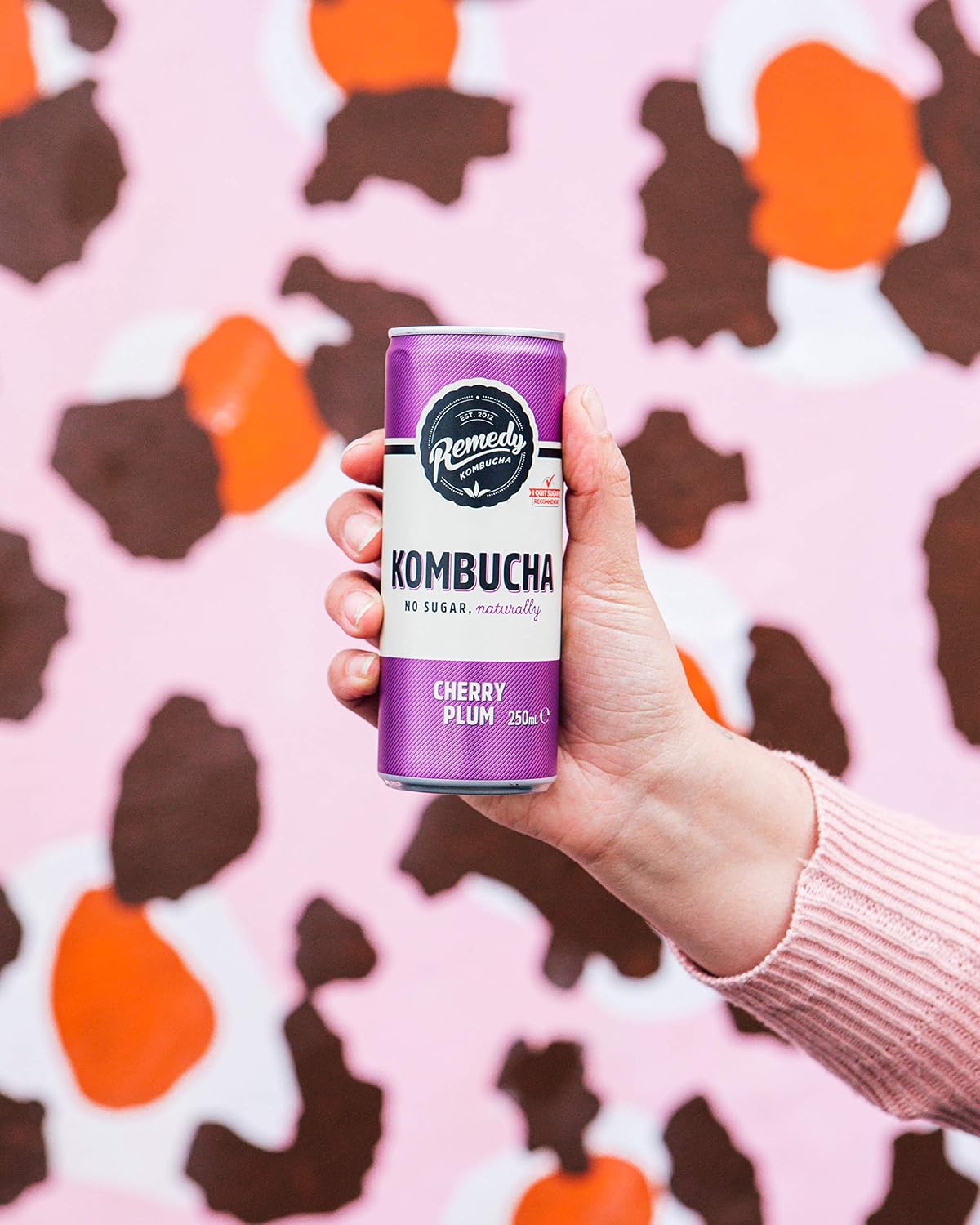 Remedy Kombucha Tea, 4 Flavour Mixed Pack, Sparkling Live Cultured Drink, Naturally Sugar Free Soft Drink - Image 5
