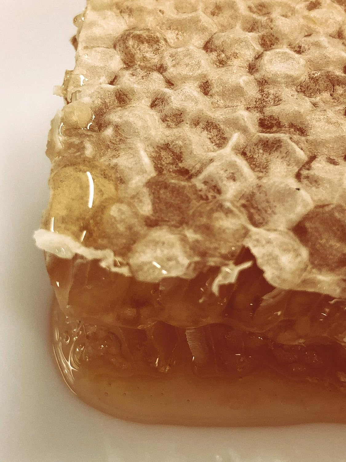 Amazon ニュージーランド産 ホワイトクローバー コムハニー 巣蜜 ３４０ｇ Comb Honey Raw Clover コムハニー 蜜源 ホワイトクローバー 食品 飲料 お酒 通販