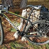 streamliner 29er dlx
