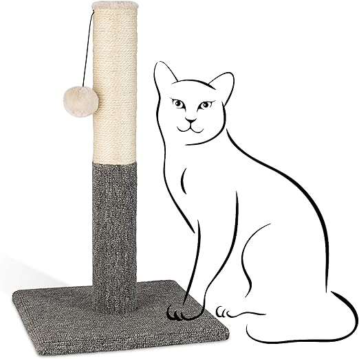 small cat scratching post