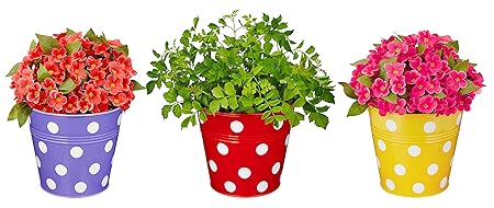 Amazon Brand - Solimo Corrosion Resistant Hanging Planter - Set of 3 (Round - Red, Yellow, Purple)