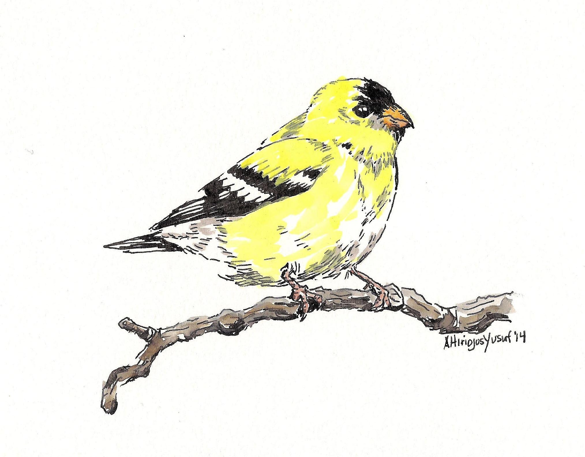 "Goldfinch" Watercolor Print