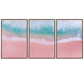 SIGNWIN 3 Piece Framed Canvas Wall Art Pink...