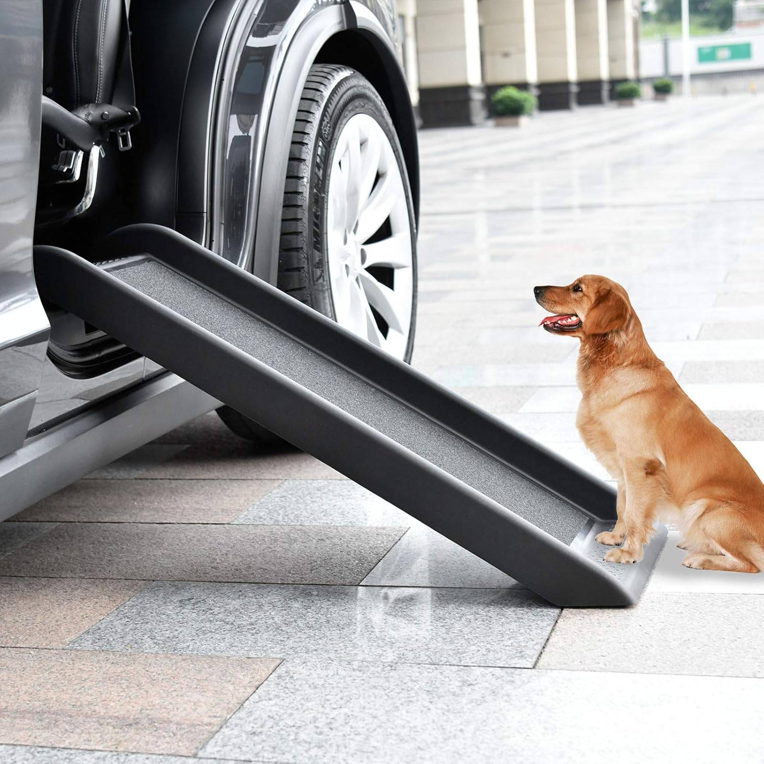 List 95+ Pictures Steps For Dogs To Get Into Cars Full HD, 2k, 4k 09/2023