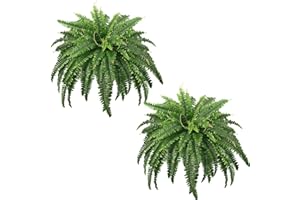 FOREST PRINCE Faux Ferns for Outdoors Large, Set of 2 Bouquets 43" Artificial Boston Plants 59 Fronds for Decoraction Garden 