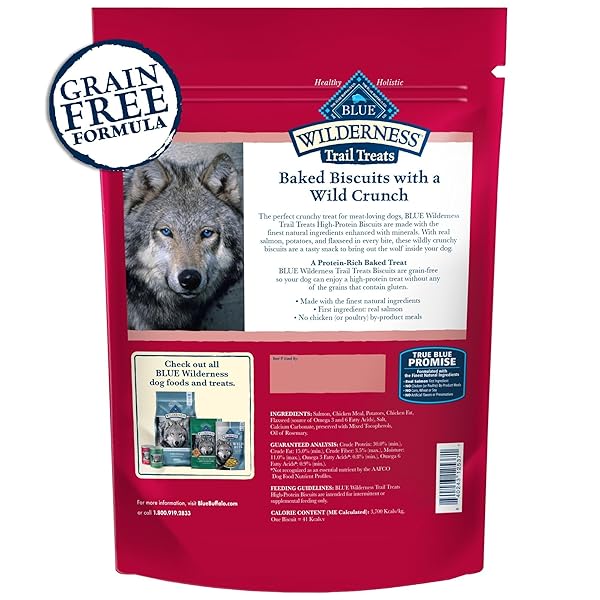 BLUE BUFFALO WILDERNESS TRAIL TREATS CRUNCHY DOG BISCUITS, GRAIN-FREE AND HIGH-PROTEIN DOG TREATS MADE WITH NATURAL INGREDIENTS, SALMON RECIPE 24-OZ BAG