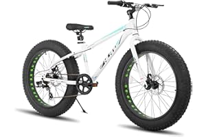 HH HILAND HILAND 24 26 Inch Fat Tire Mountain Bike for Men and Women, High Carbon Steel Frame Beach and Snow Wide Tire Adult Bicycle, 7-Speed and Dual-Disc Brake MTB