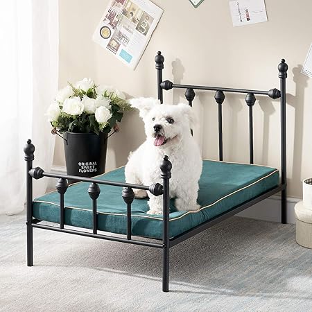 nine lives urinary tract cat food