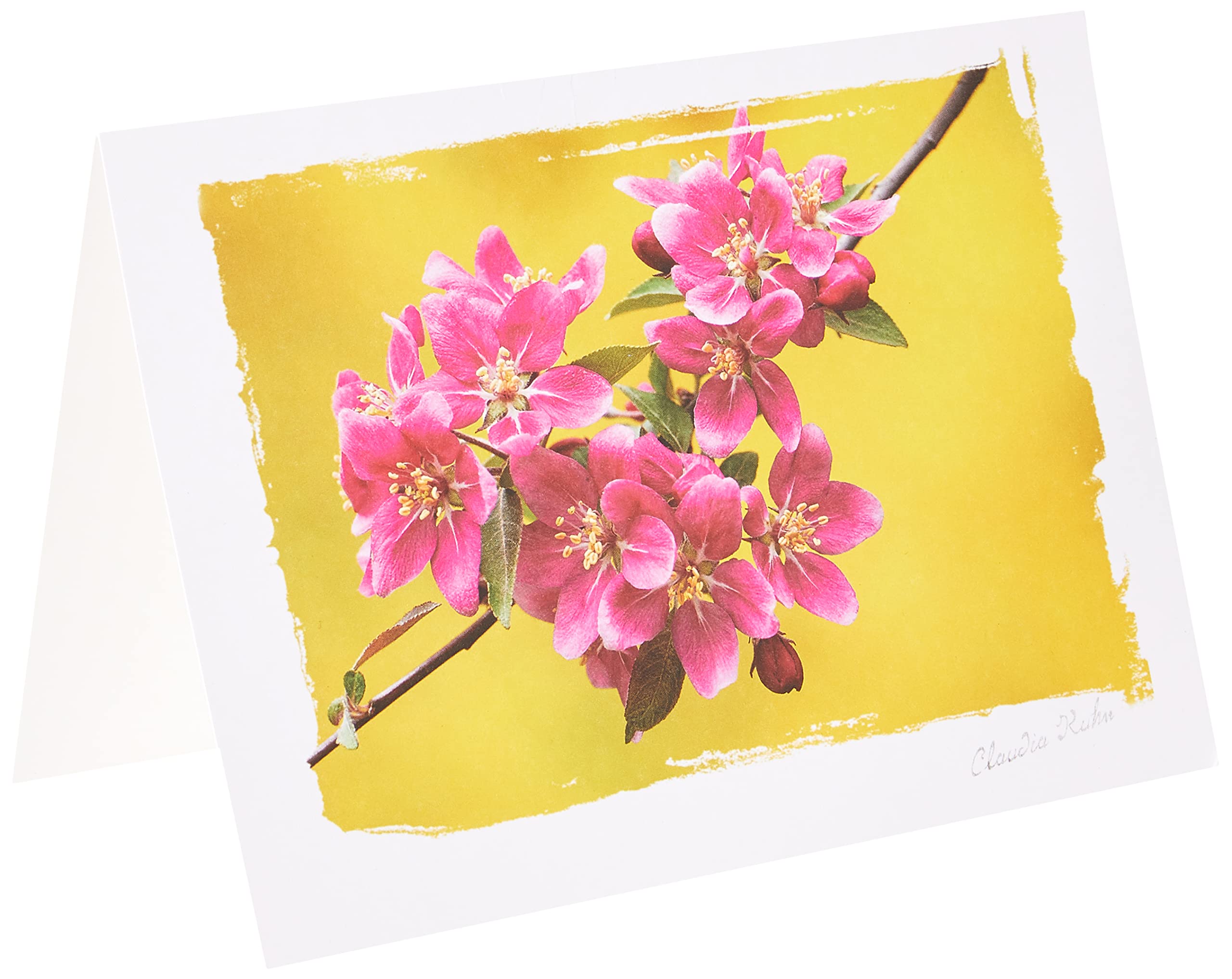 Paper House Artist Series Photo Card with Envelope Full Bloom, Acrylic, Multicoloured, 2-Piece