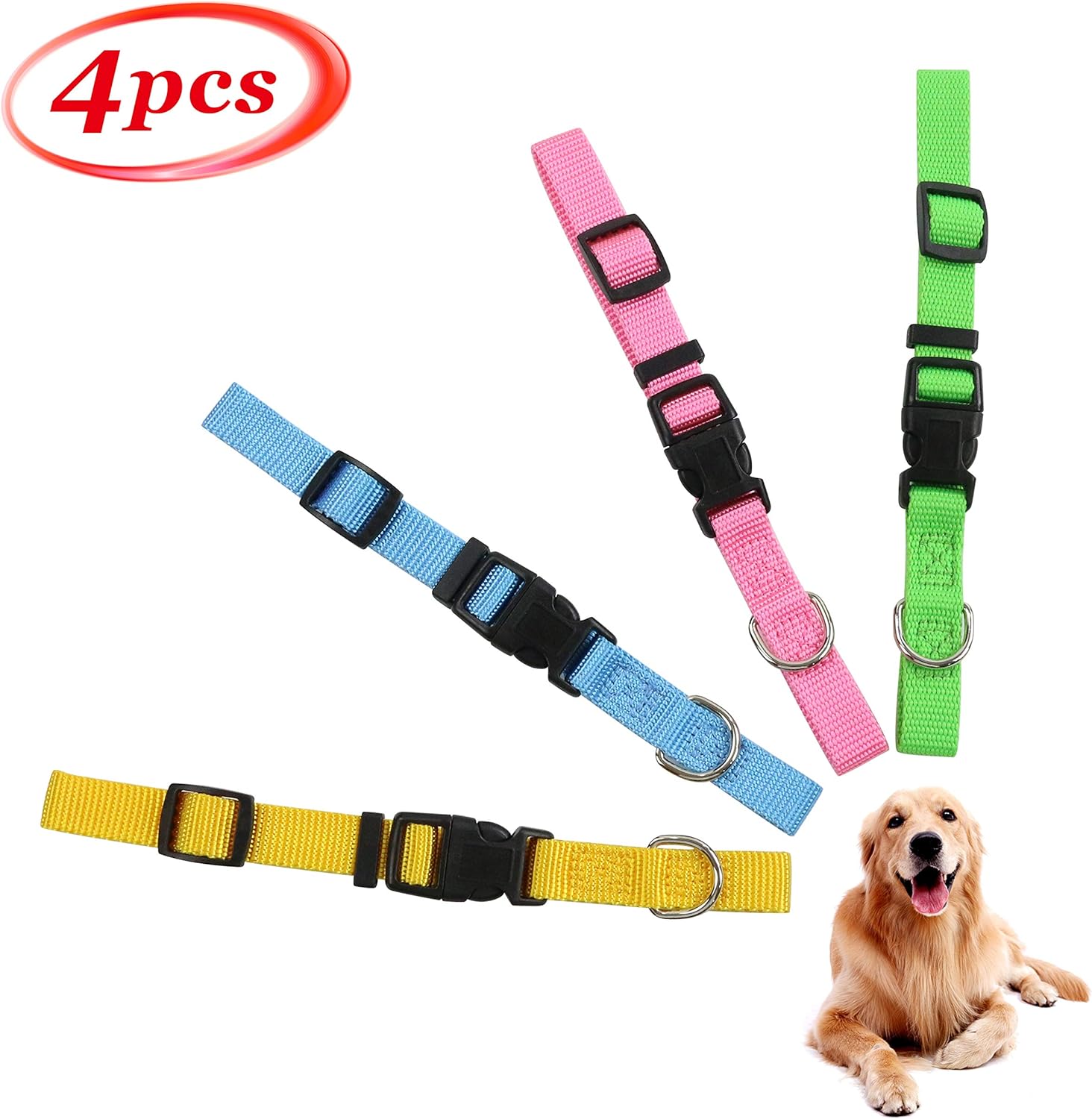 breakaway martingale collar