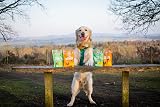 Laughing Dog Teeth and Gum Dental Treats Mint Parsley 125g Grain Free view 2