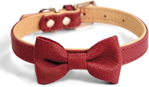 martha stewart dog collar