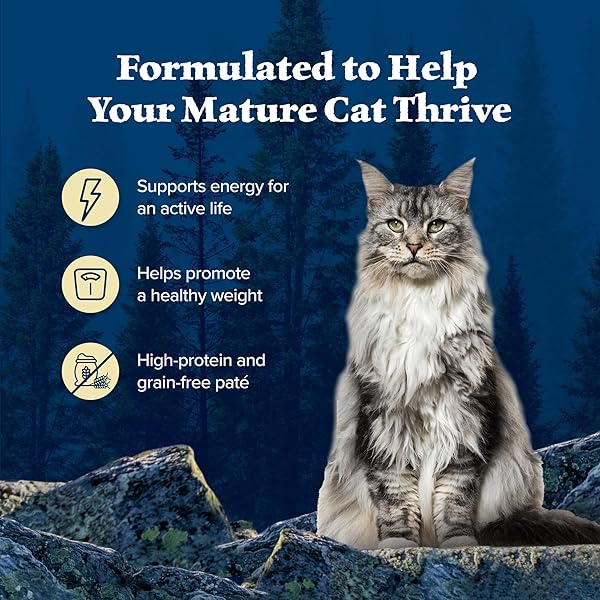 BLUE BUFFALO WILDERNESS HIGH-PROTEIN GRAIN-FREE WET FOOD FOR ADULT CATS 7+, CHICKEN RECIPE, 5.5-OZ., 24-COUNT