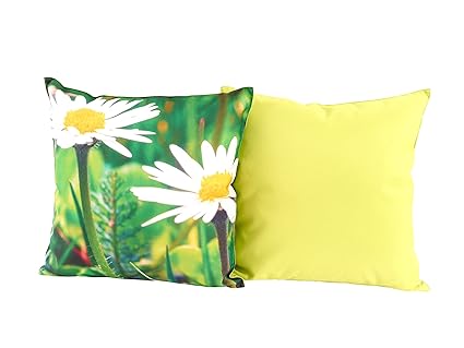 CB Home & Style Outdoor Garten Kissen Druck 45 x 45 cm (Des4MargeritenGroß)