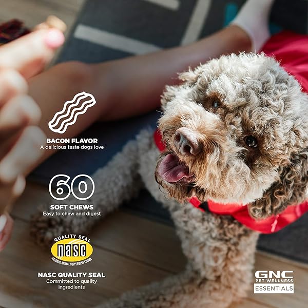 GNC FOR PETS ESSENTIALS CALMING SOFT CHEW DOG SUPPLEMENTS | 60 CT BACON FLAVOR DOG SOFT CHEW SUPPLEMENTS FOR CALMING AND RELAXATION | ADULT DOG CALMING CHEWS FOR ANXIETY, WHITE