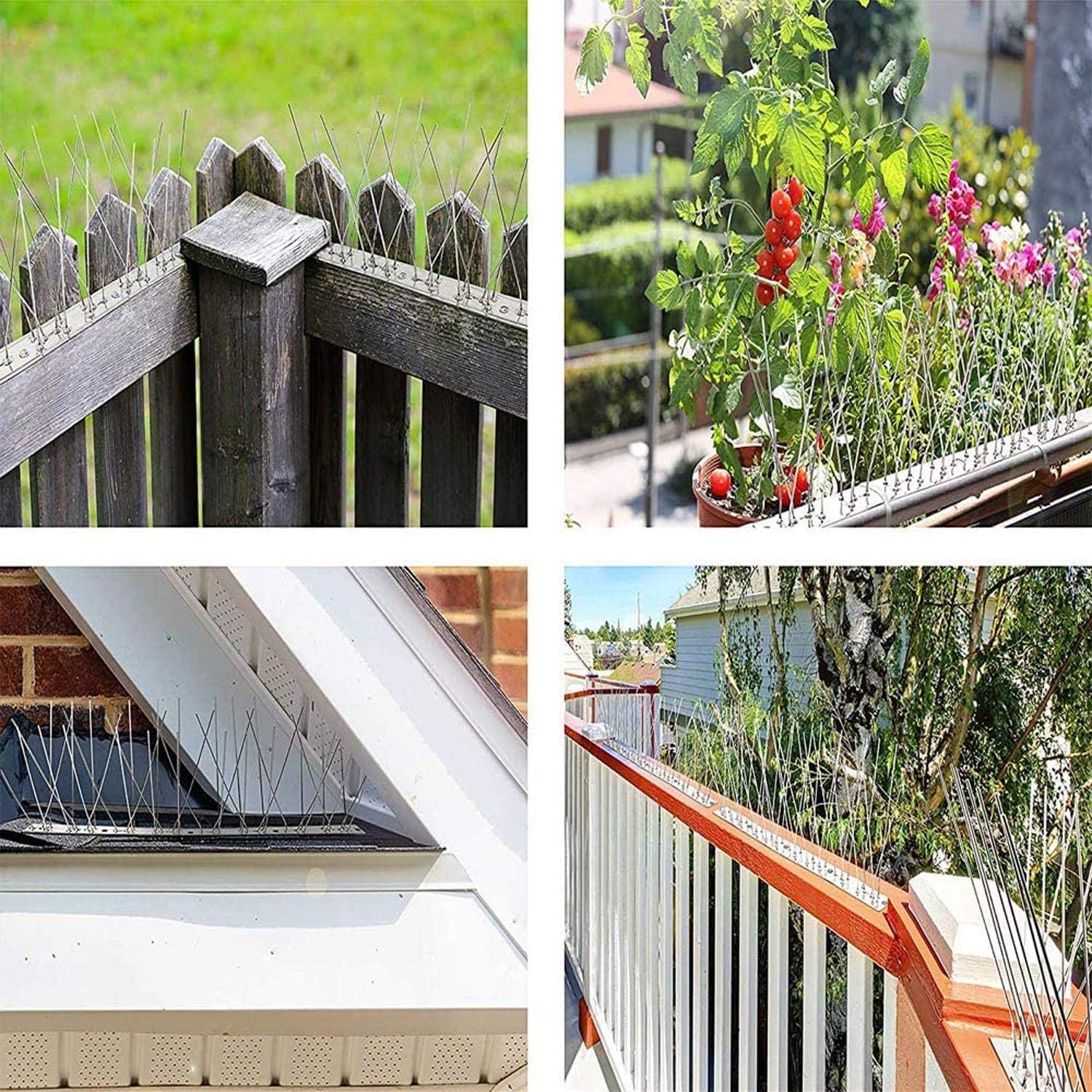 Bird Spikes for Pigeons Small Birds Cat, Anti Bird Spikes Stainless Steel Bird Deterrent Spikes-Cover 4 FT(5 Pack) : Garden & Outdoor