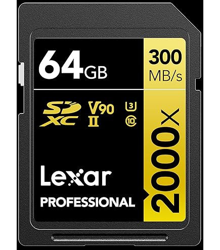 SanDisk - 【りゅうさま専用】SanDisk Extreme PRO SDXCUHSⅡカード Amazon.co.jp: SanDisk 256GB Extreme PRO SDXC UHS-I Memory