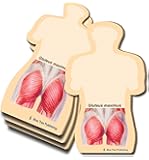 Gluteus Maximus Sticky Notes or a Tight Muscle Butt Note Pad, 4 Pack-100 Sheets Per Pack