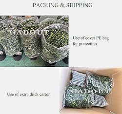 Gadout Artificial Boxwood Topiary Ball for