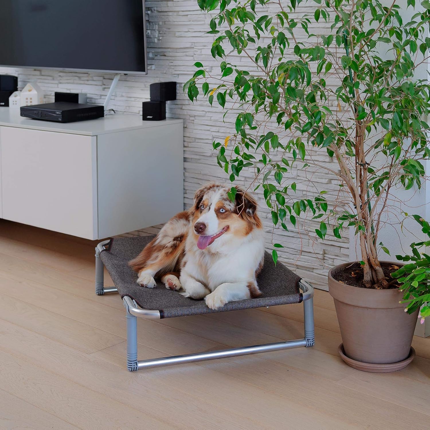 Ferplast Dream 80 Dog Bed, 84 x 54 x 7 cm, Grey, 84 x 54 x 7 cm (L x W x H) - Image 5