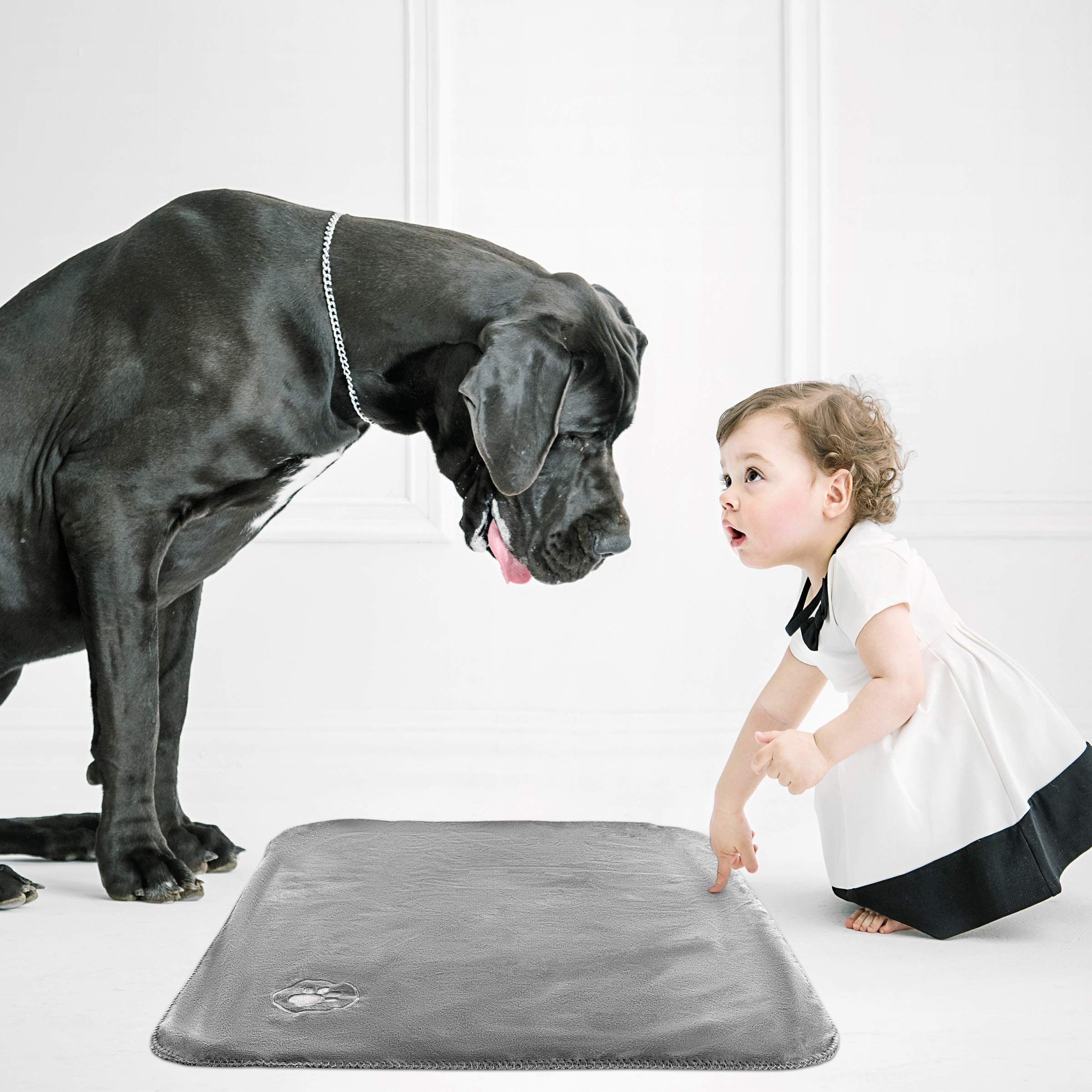 PETMAKER Waterproof Pet Blankets - Soft Plush Throw Protects Couch, Chairs, Car, or Bed from Spills, Stains, or Pet Fur-Machine Washable