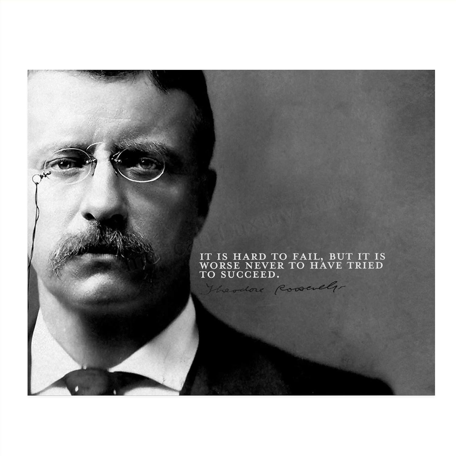 Theodore Roosevelt Quotes Wall Art “Hard To FailWorse To