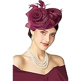 BABEYOND Fascinators Hats for Women - Tea Party Kentucky Fascinator Derby Pillbox Hat Mesh Feathers Headband with Hair Clip
