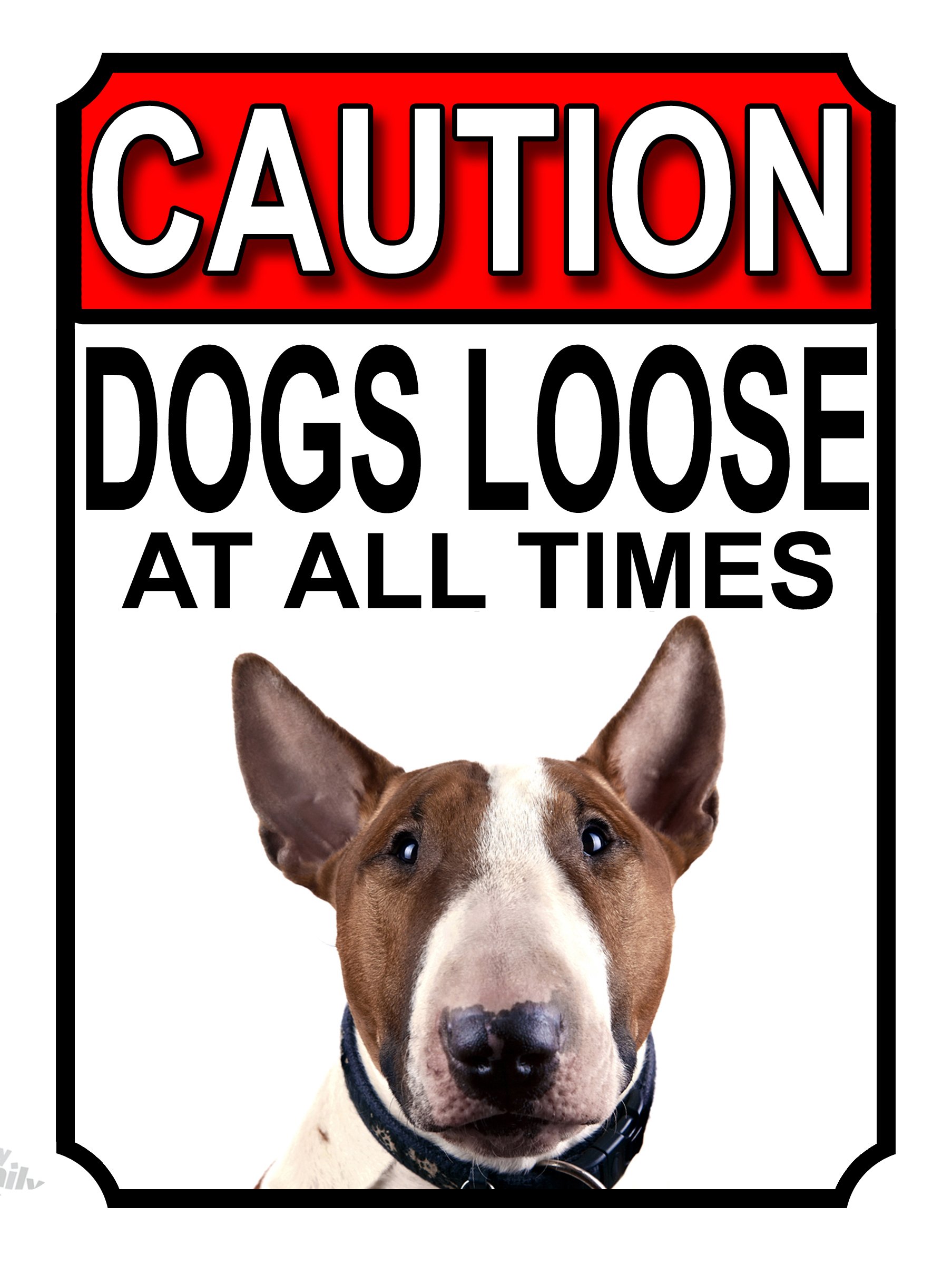 Shawprint Limited CAUTION DOGS LOOSE AT ALL TIMES METAL GATE SIGN BULL TERRIER 200MM X 150MM (1183H1) — image 1