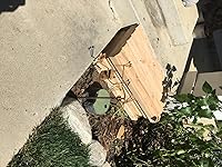 Review Image by Amazon Customer Amazon Customer