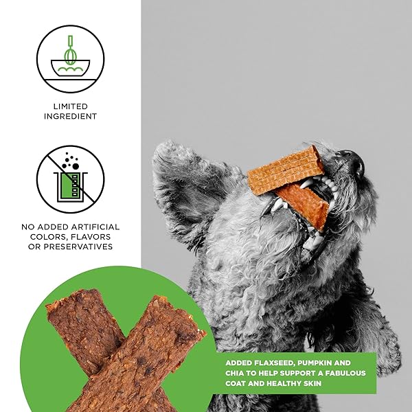 BIXBI LIBERTY SKIN & COAT SUPPORT CHICKEN JERKY DOG TREATS 5 OZ – USA MADE, GRAIN FREE, ANTIOXIDANT RICH TO SUPPORT SHINY, FULL BODIED COATS