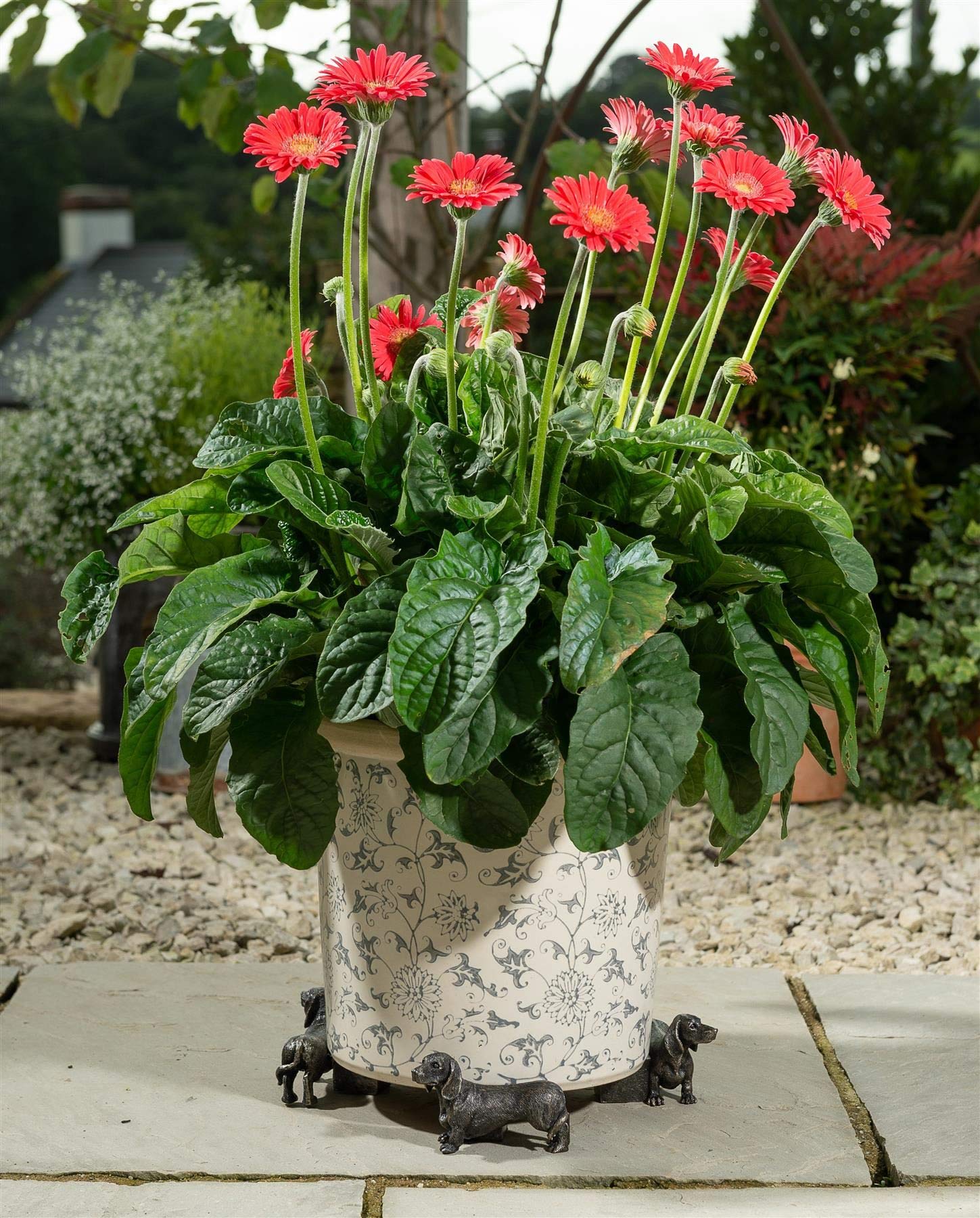 Potty Feet Dachshund Figures Plant Pot Feet Planter Riser - Pot Support Feet.