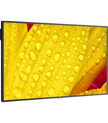 Amazon.com: NEC V554Q 55 LED LCD, UHD, 500NITS, Anti Glare Screen