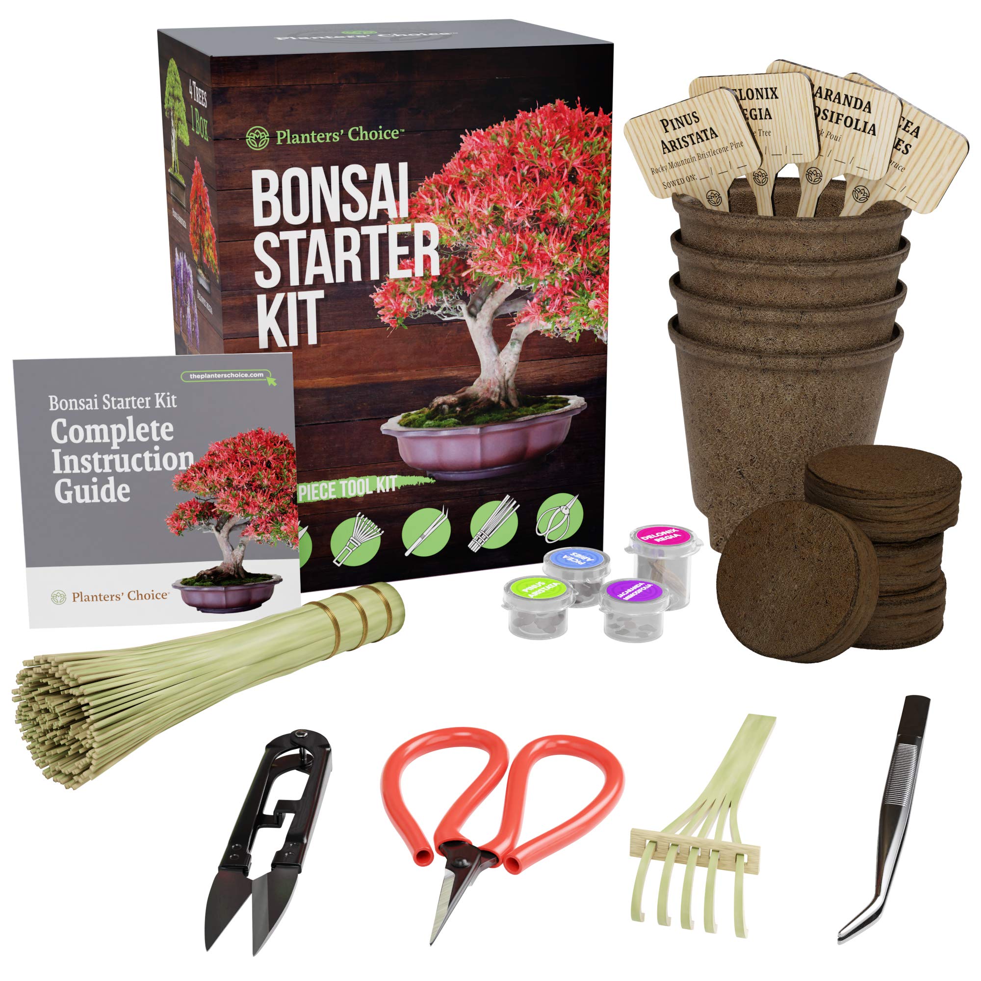 Planters' Choice Succulent & Cactus Growing Kit with Moisture Meter