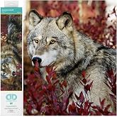 DIAMOND DOTZ Autumn Wolf Diamond Painting Kit for Adults, Diamond Art Craft | Full Coverage Design, Sparkling Faceted Finish, Complete Starter Set, Vibrant Wall Decor, Ready to Frame, Great Handmade Gift