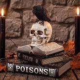 Canchiing Halloween Witch Spellbook Decor Skull Raven Mantel Tabletop Decor | Vintage Gothic Crow Figurine, Halloween Resin Book Stack Table Decorations, for Home Vintage Mantle Fireplace