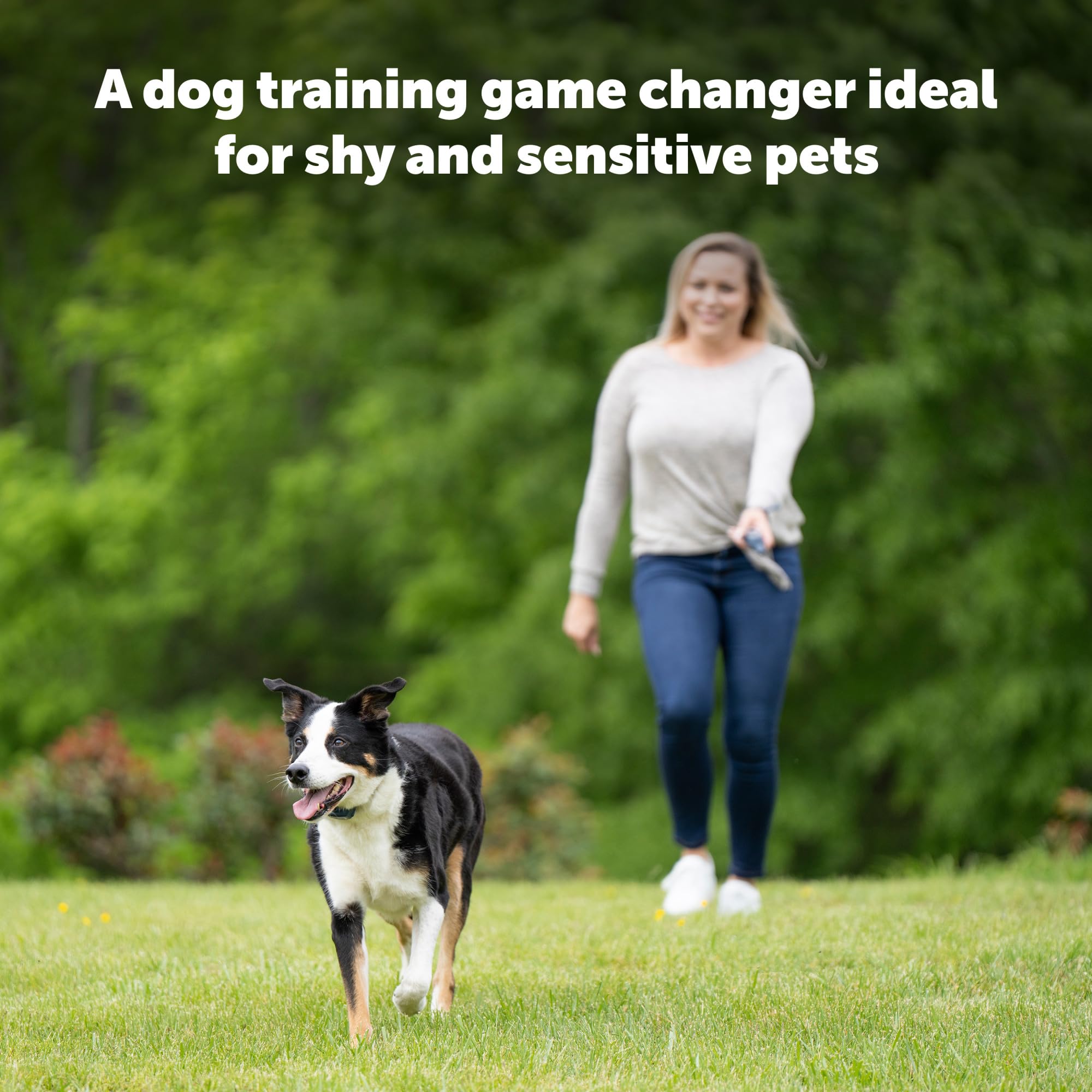 PetSafe Remote Spray Trainer, Dog Training Collar - 3 Modes: Tone, Vibration or Spray - Rechargeable and Water-Resistant includes Citronella and Unscented Spray Refills - 300 Yards (900 Feet) Range