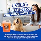 Trade Chemicals Plush Carpet Shampoo 5L Lemon Low Foaming Cleaner view 5