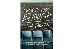 Nice Is Not Enough: Inequality and the Limits of Kindness at American High